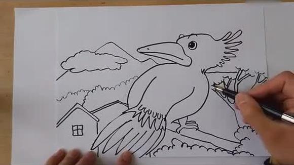 死亡之鸟的凝视