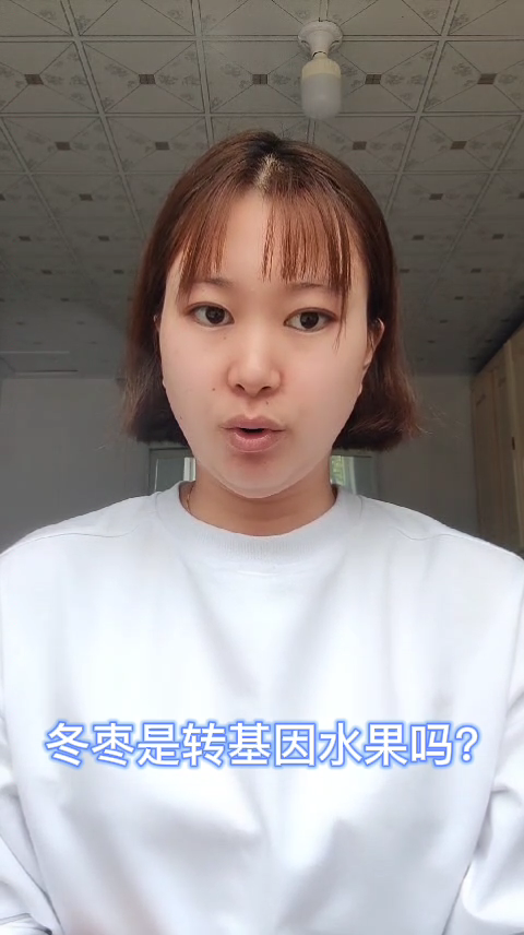 冬枣是转基因水果吗?