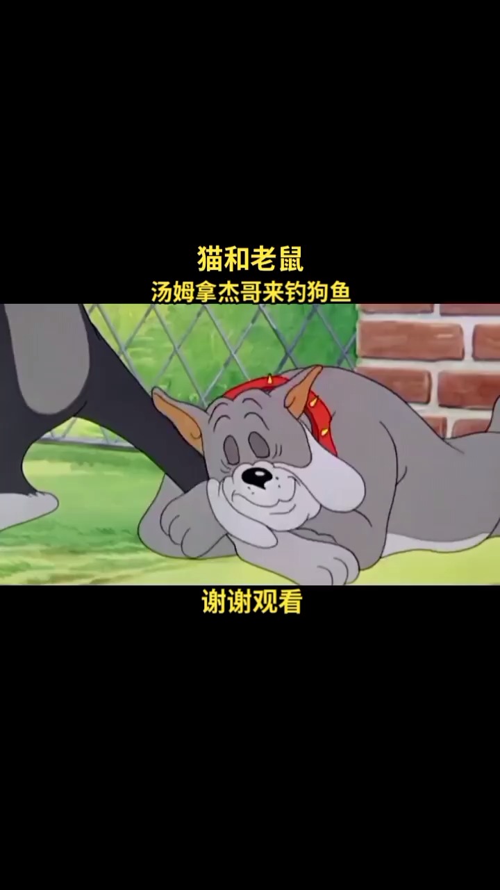 猫和老鼠童年经典动画片回放