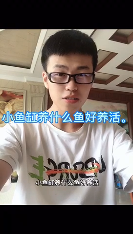 小鱼缸养什么鱼好养活