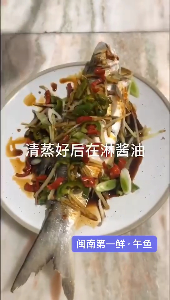 午鱼～