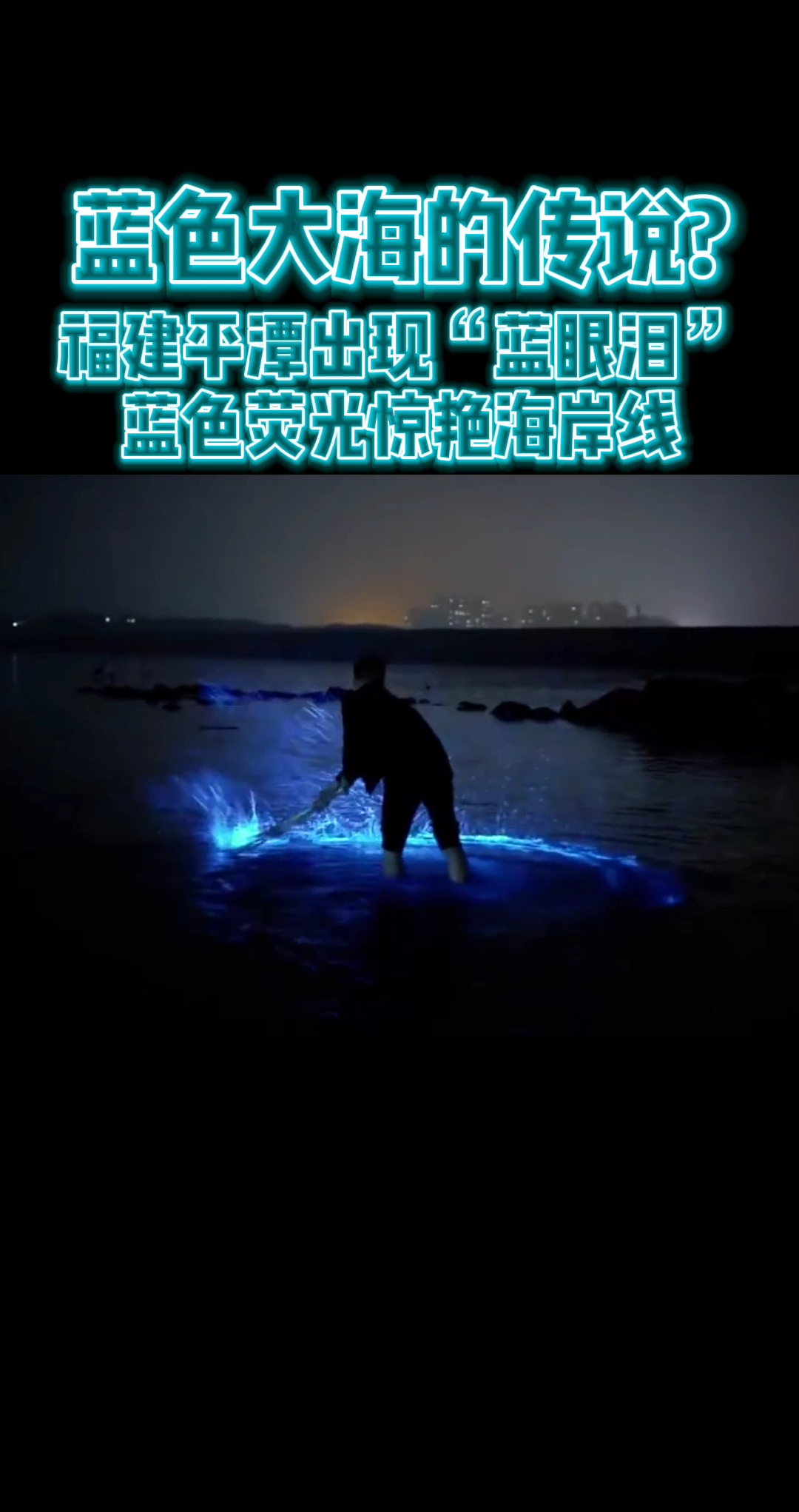 好浪漫“蓝眼泪”学名希氏弯喉海萤,是一种浮游荧光生物,主要生活在海里。