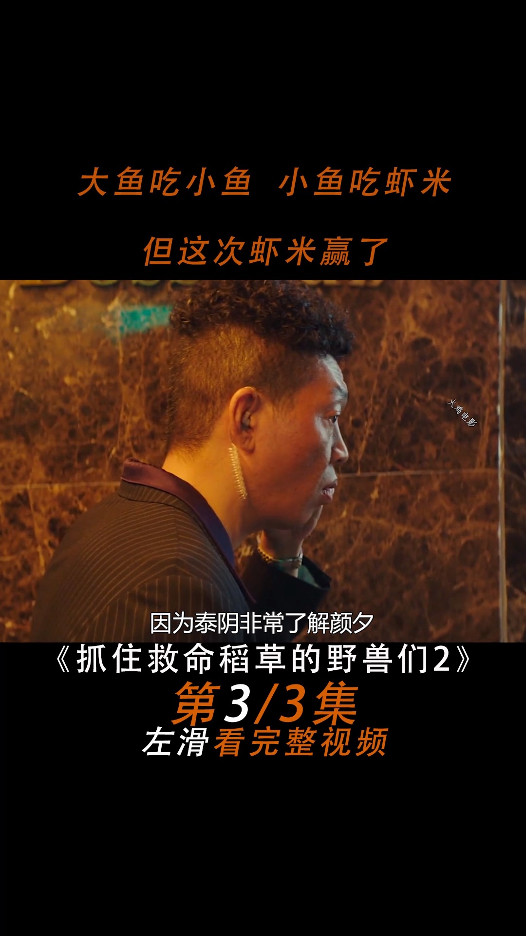 #好看电影#人性片:抓住救命稻草的野兽们