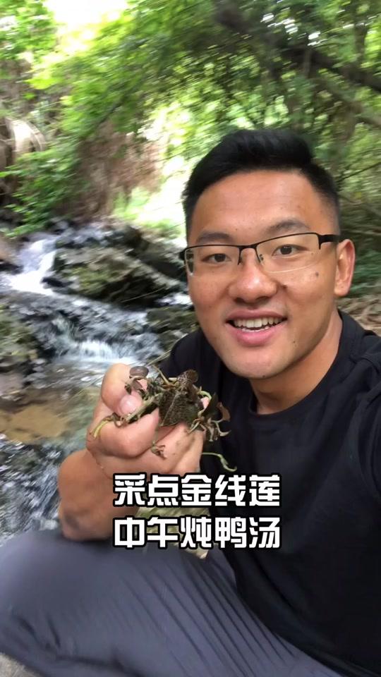 金线莲炖鸭汤,来吃吗?稻悠悠 +