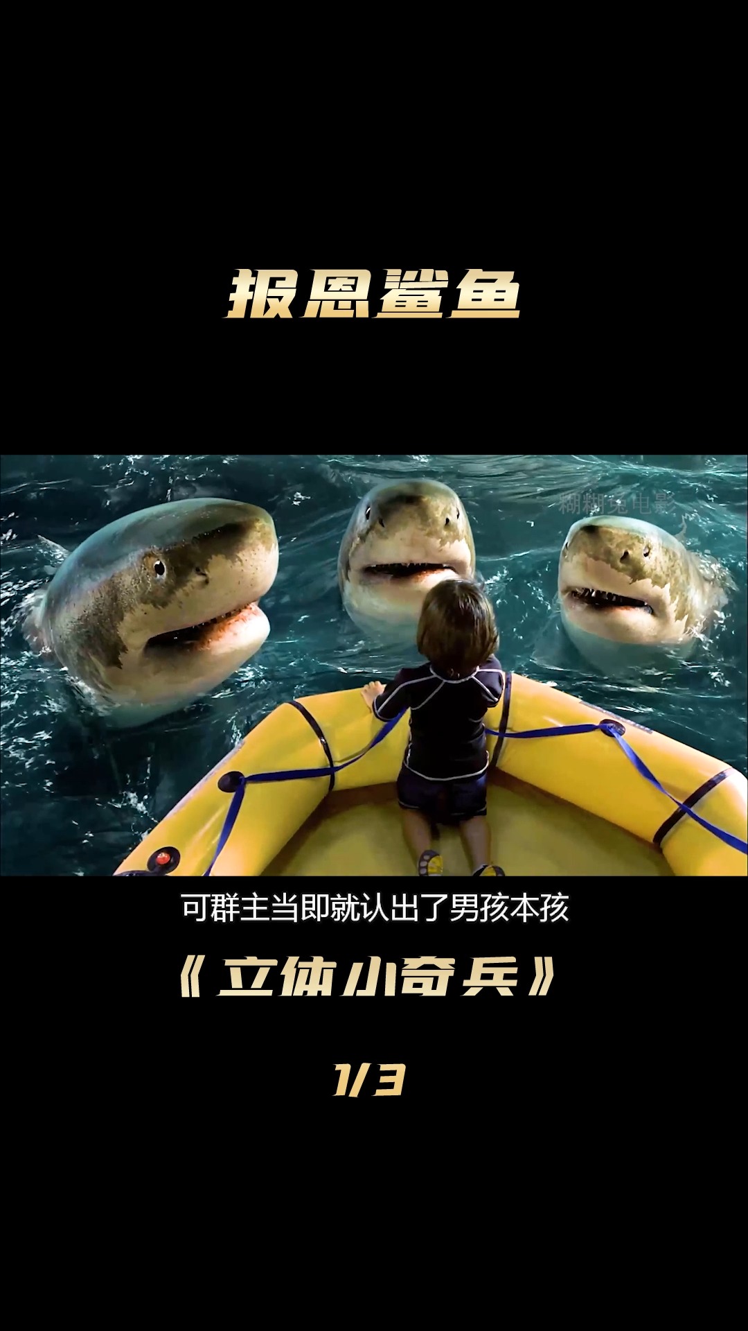 #好看电影#男孩从小喂养鲨鱼,却变成了半人半鲨