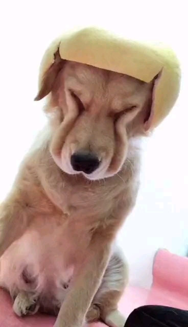 柚子皮帽子