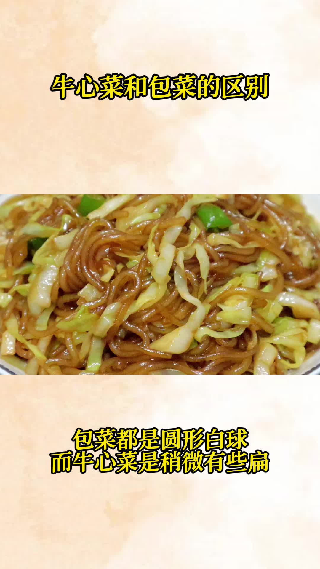吃一口美味的粉条炒包菜,吃在嘴里,爽到心头
