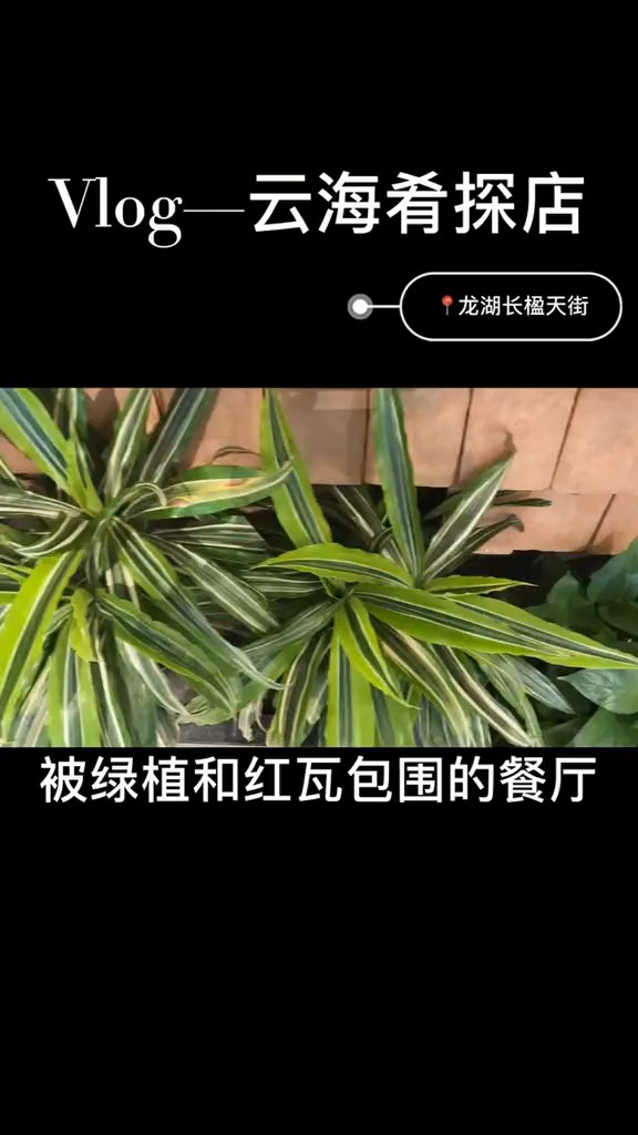 请问你们爱吃鱼腥草么?他家的鱼腥草我可以吃一筐,云南菜打卡
