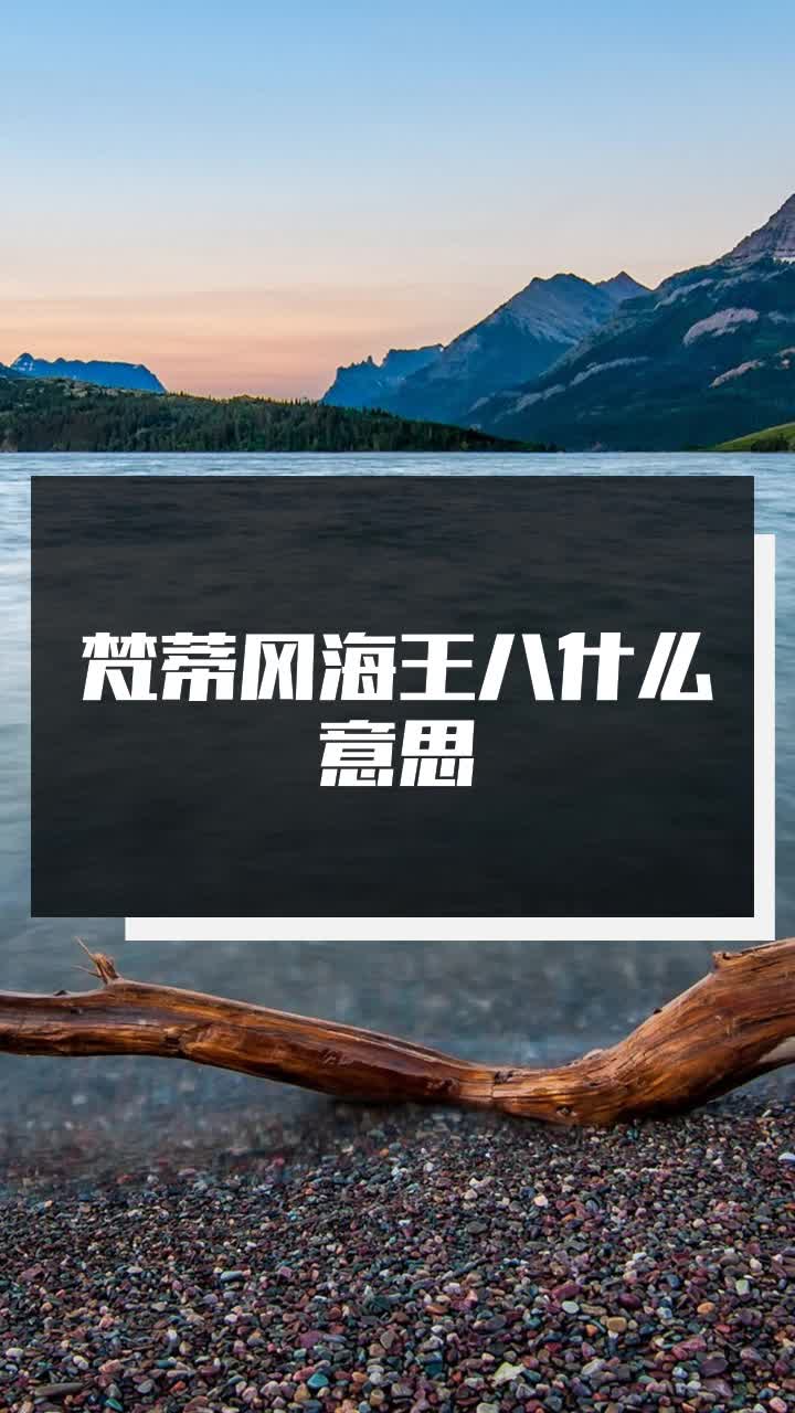 梵蒂冈海王八什么意思