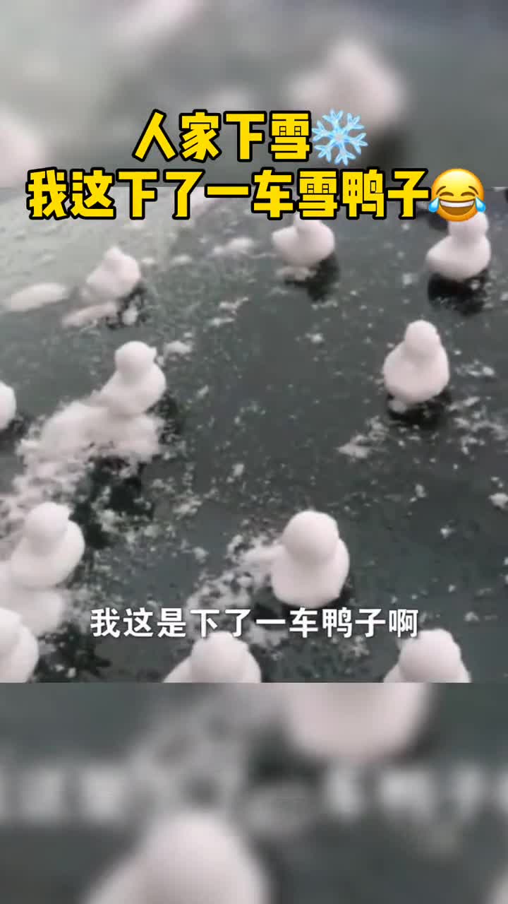 这样的小福鸭也蛮可爱车主发现爱车满是用雪做的小鸭子