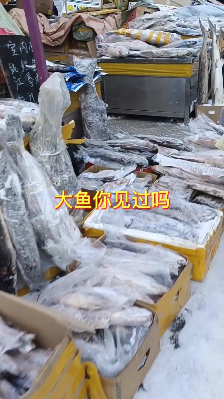 江鱼大全