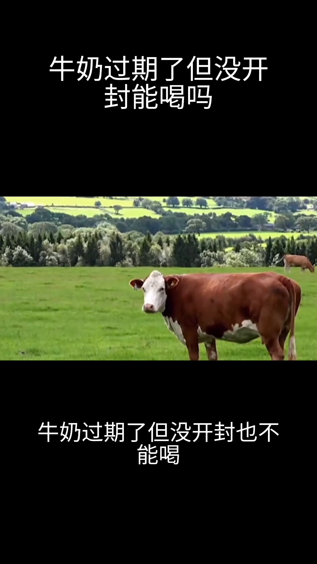 牛奶过期了但没开封能喝吗