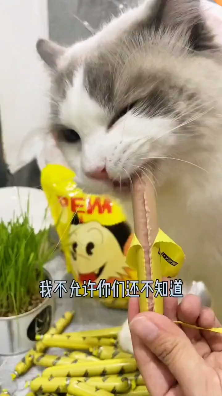 富硒高钙佩妮火腿肠,一杯奶茶钱,让猫猫狗狗实现火腿自由!