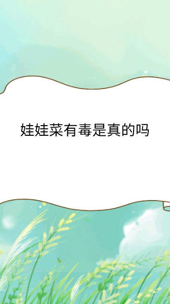 娃娃菜有毒是真的吗
