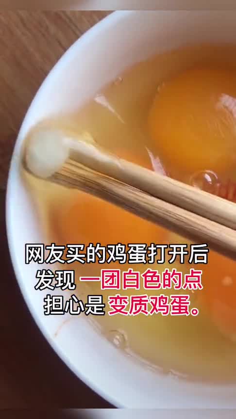 刚买的鸡蛋出现白色絮状物能不能吃鸡蛋有卵黄系带,形似绳子可安全食用