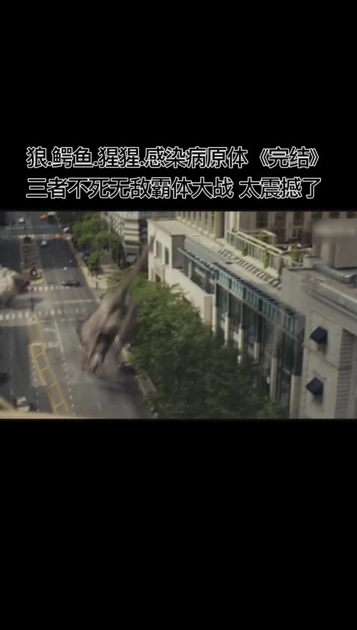 最终邪不胜正,善良的大猩猩最终拯救了世界,给大猩猩点个赞#筱莜混剪