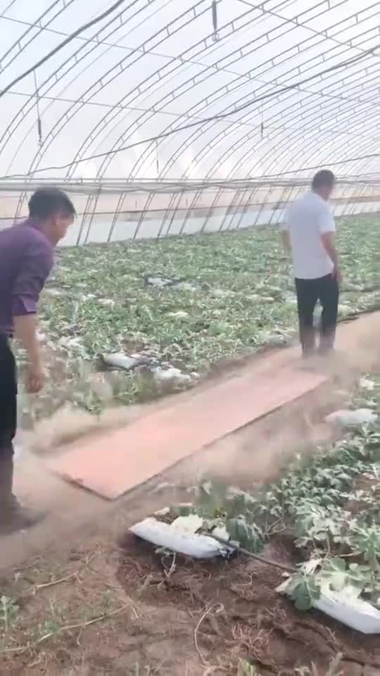 2西瓜秧生病了,搬到医院看病
