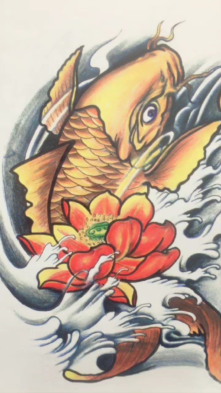 纹身手稿鲤鱼