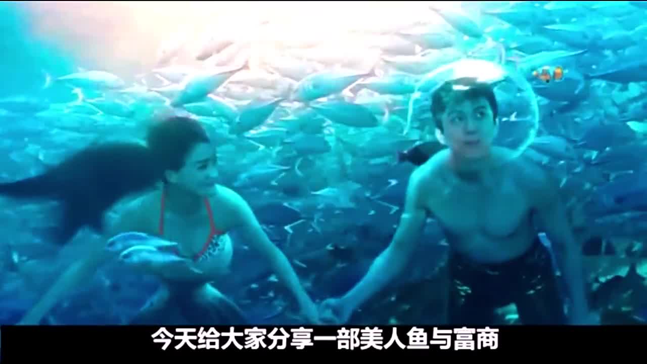 美人鱼:美人鱼为保护大海设计套路富商,最后却与富商终成眷属