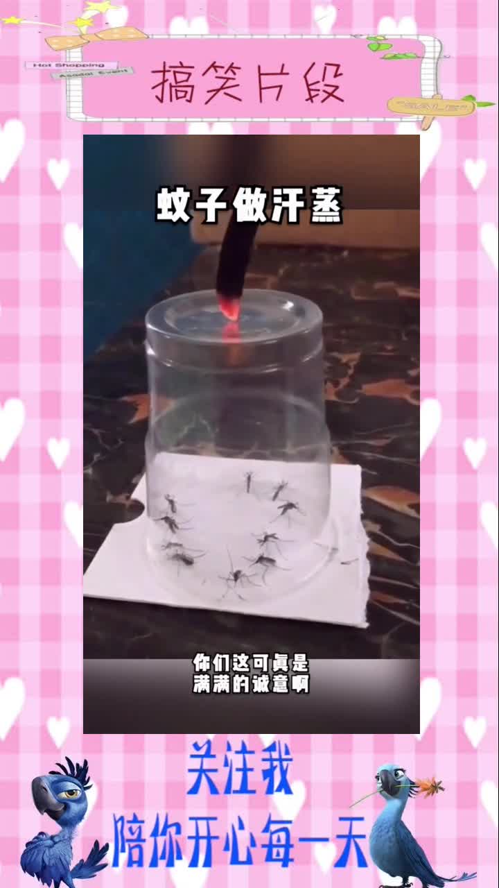 蚊子送我大红包,我免费让它蒸桑拿,我是不是亏了!,搞笑视频