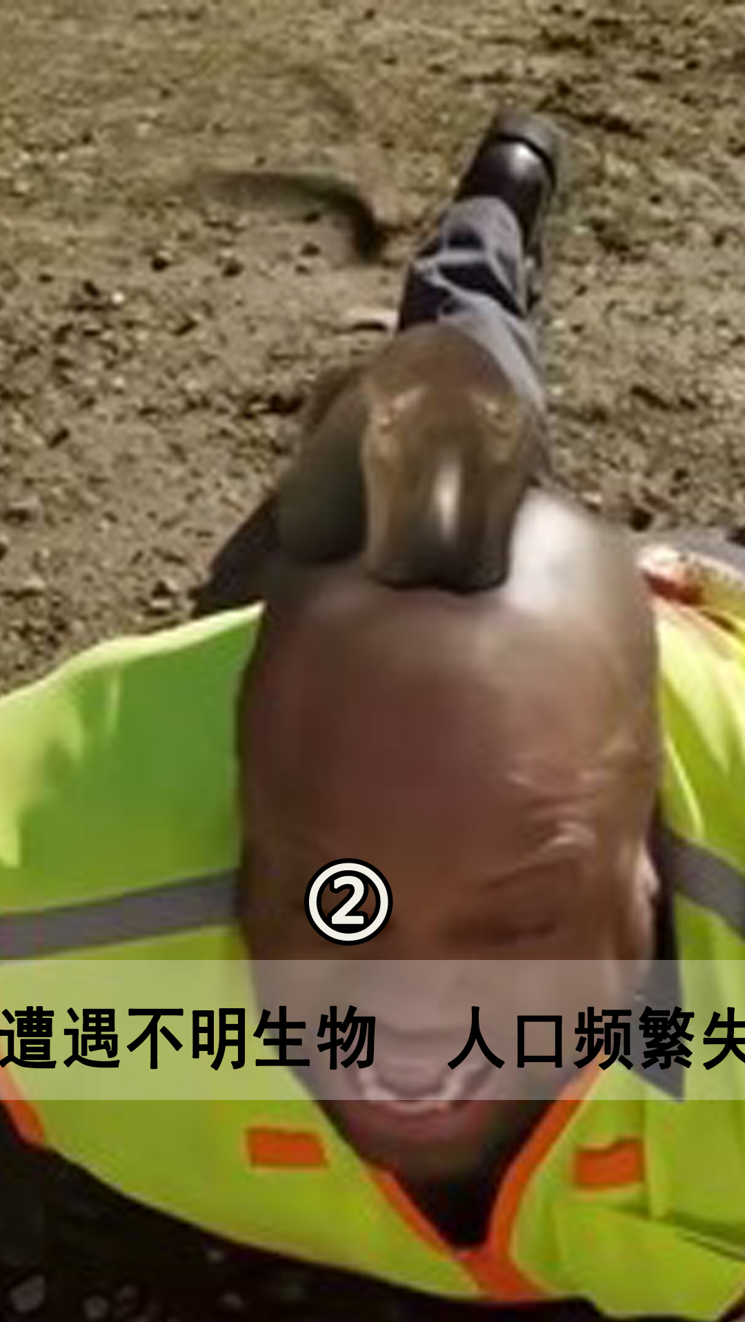 #电影解说#变异鳗鱼袭击人类