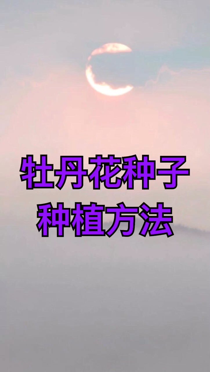 牡丹花种子种植方法