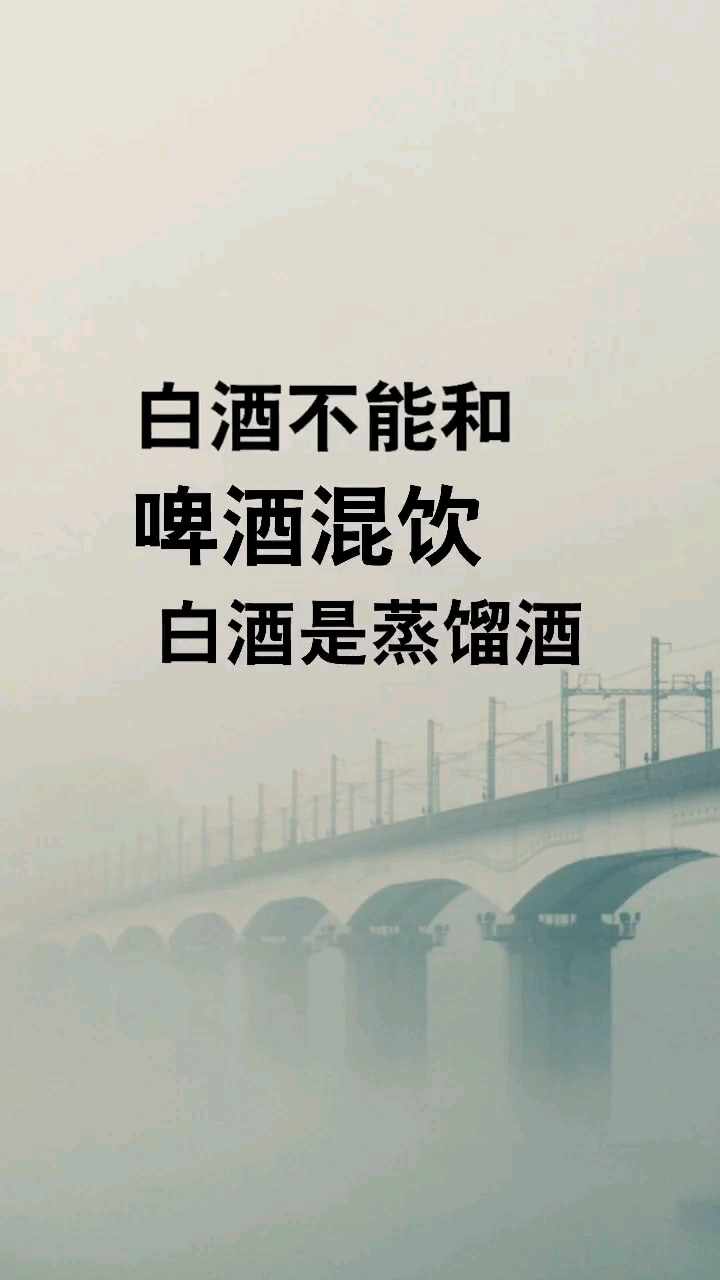 白酒不能和啤酒混饮。白酒是蒸馏酒