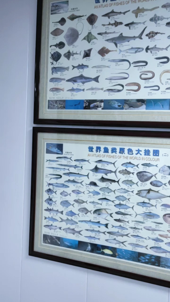 世界鱼类原色大挂图(二)