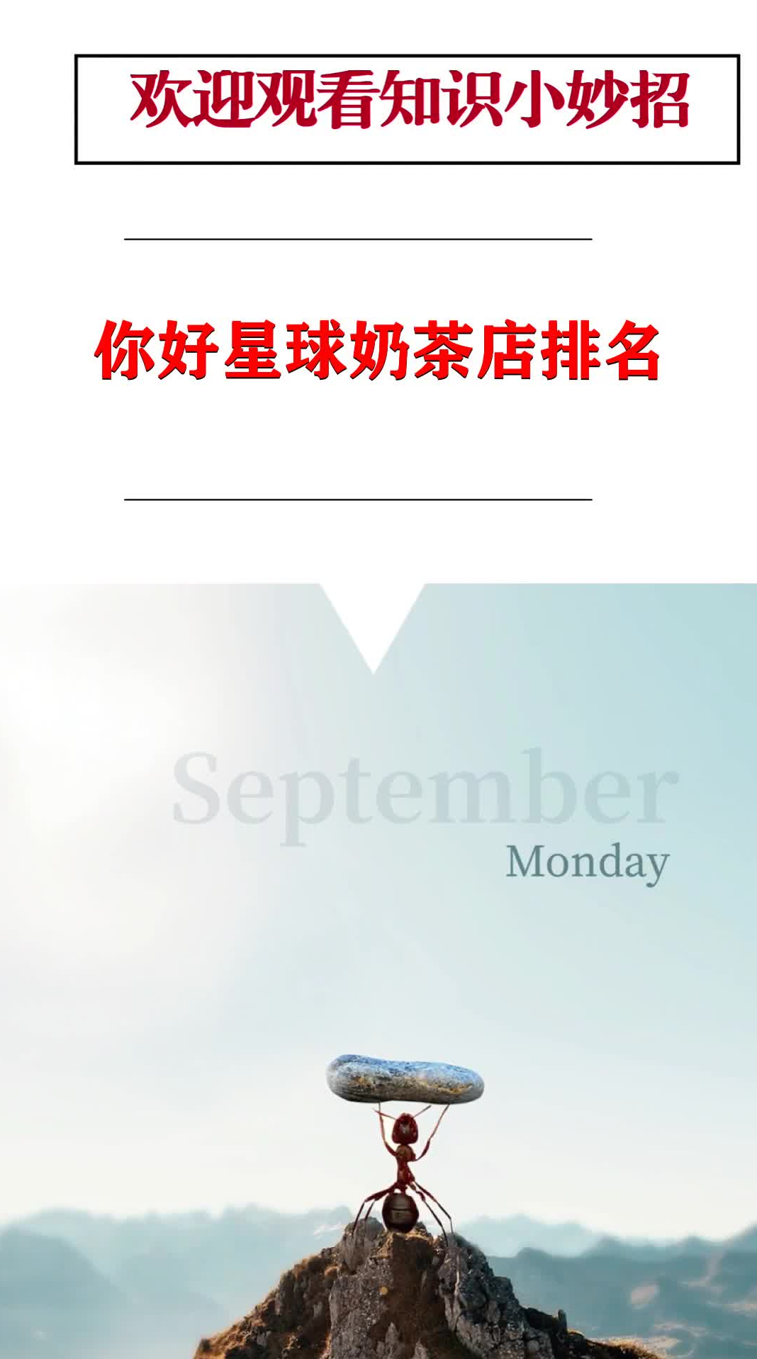 你好星球奶茶店排名