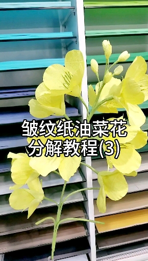 皱纹纸油菜花分解教程(3)