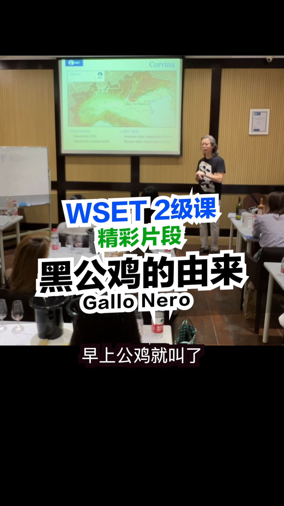 #红酒#WSET品酒课精彩片段-黑公鸡传奇