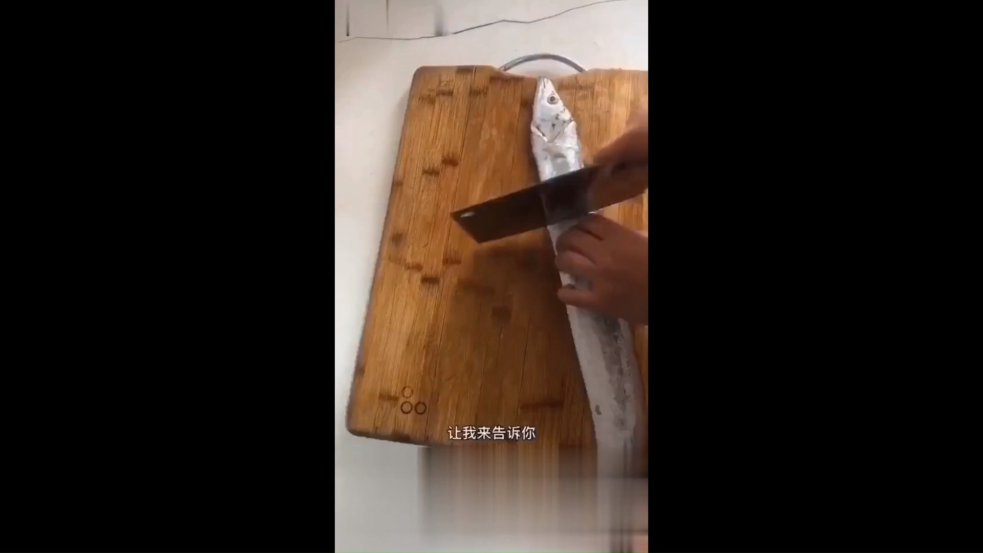 #搞笑段子剧#刀鱼和鲅鱼是是怎么来的你知道吗