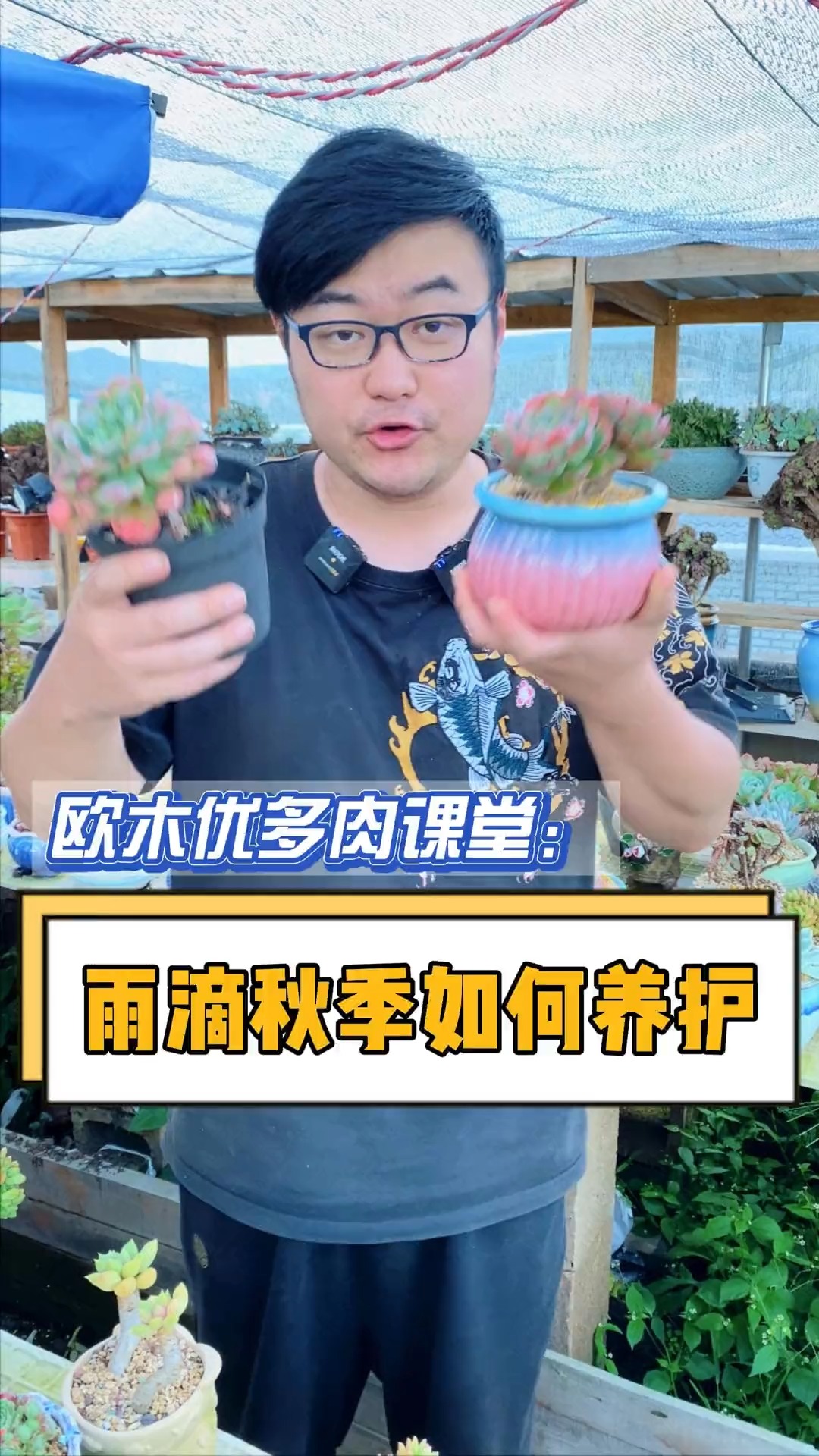 #有一种可爱叫多肉!#雨滴喜水喜肥喜光照,想要雨瘤不消失必须持续给肥哦#多肉植物 #精品多