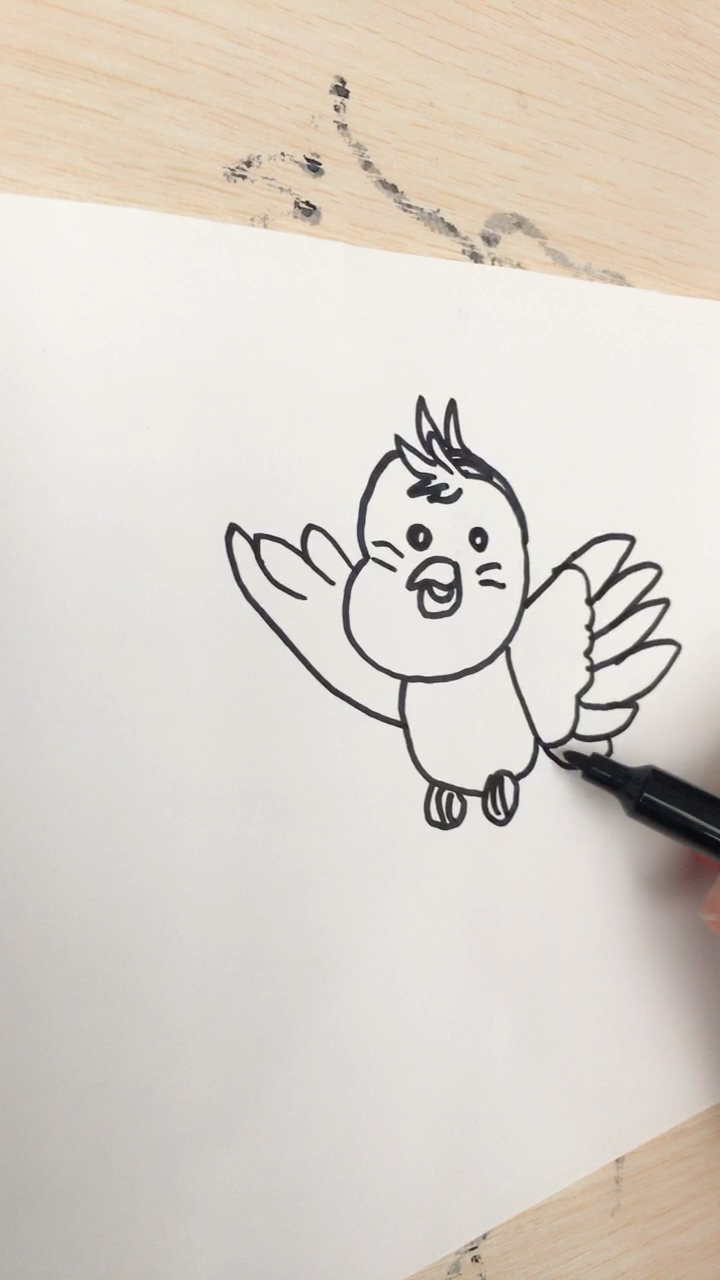 简笔画会飞的小鸟