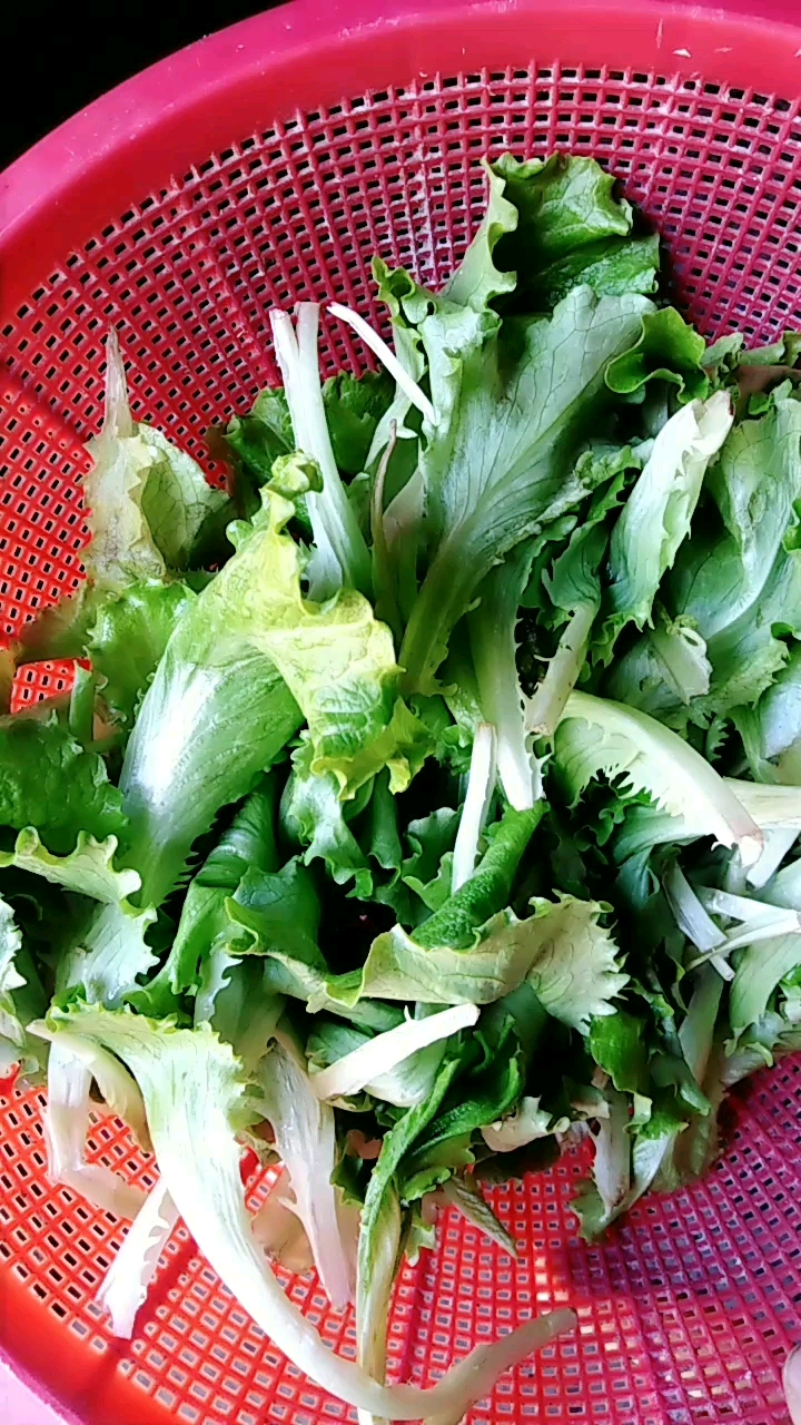 豆腐炒生菜,增加免疫力