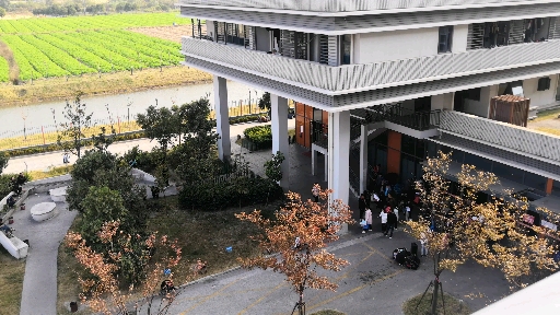 上海菜鸟网络