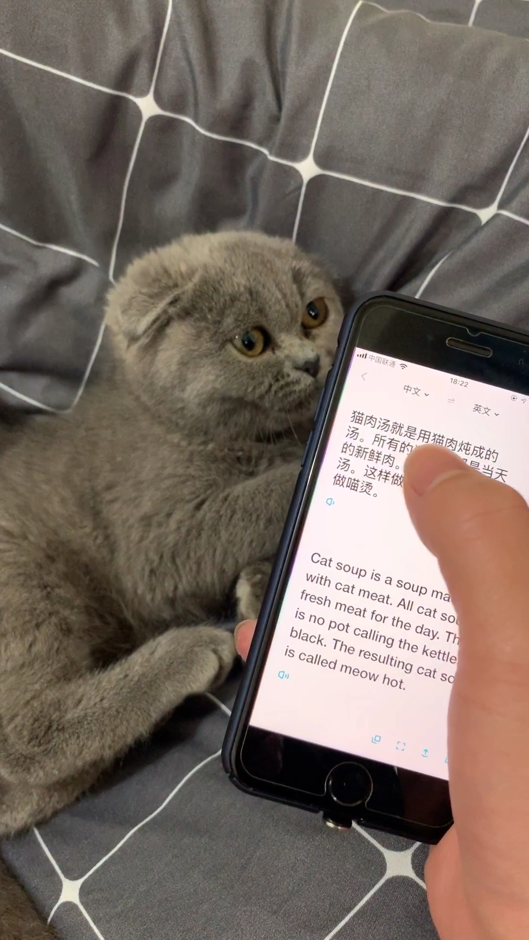 果然听语音就乖了。