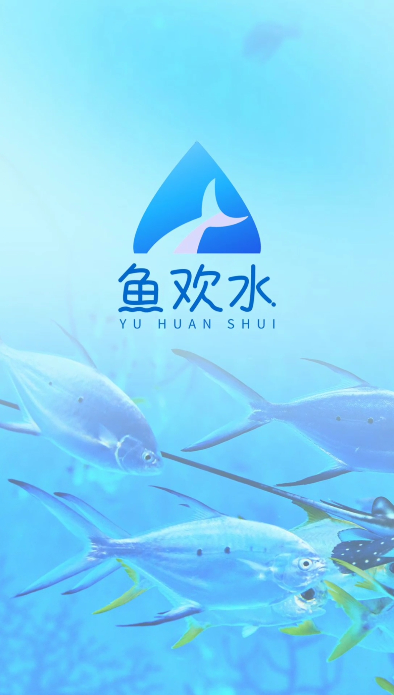 #这就是我的logo#这个创意给多少分?各位评委欢迎踊跃参与