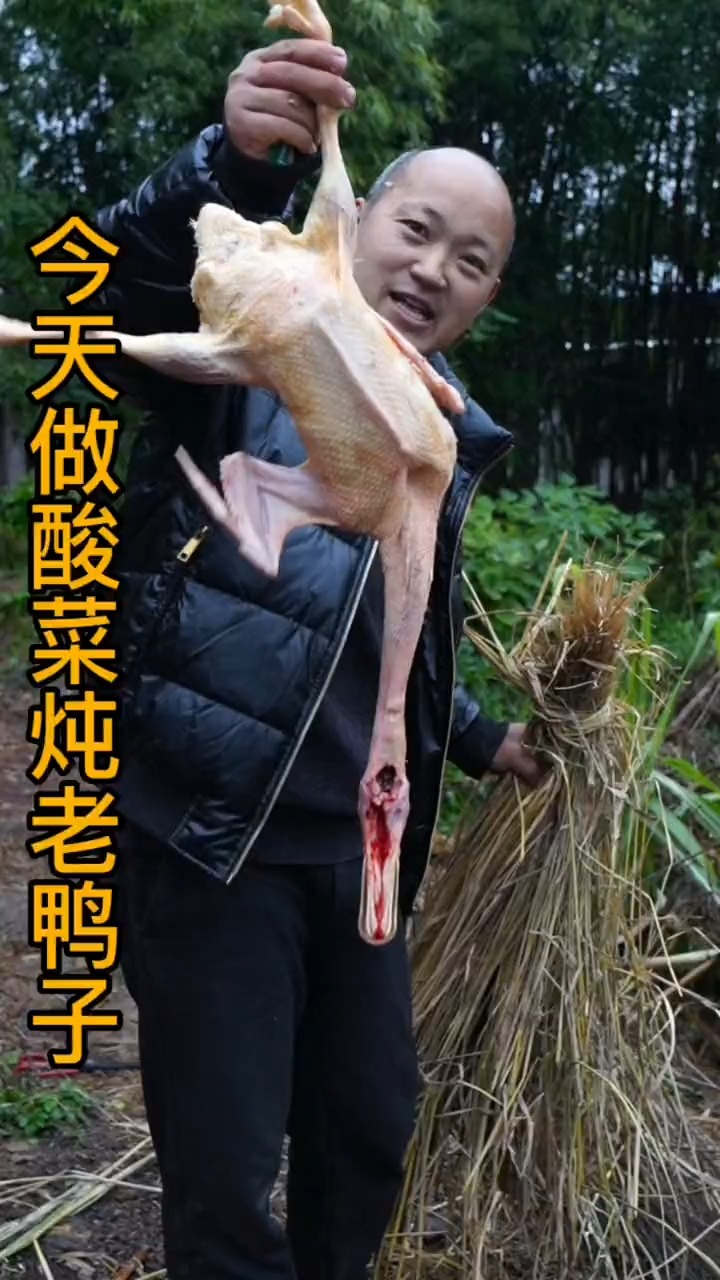 #农村美食#还是妈妈养的土鸭子好吃,今天拿它炖了酸菜,一家人吃的喜笑颜开
