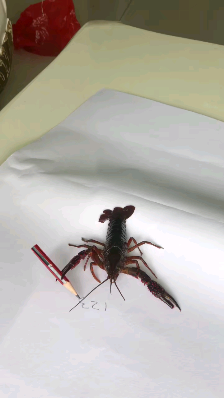 #画画原来如此简单#比我家儿子写的字还好看。