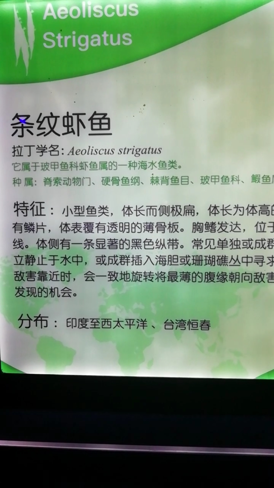 #我要上热门#