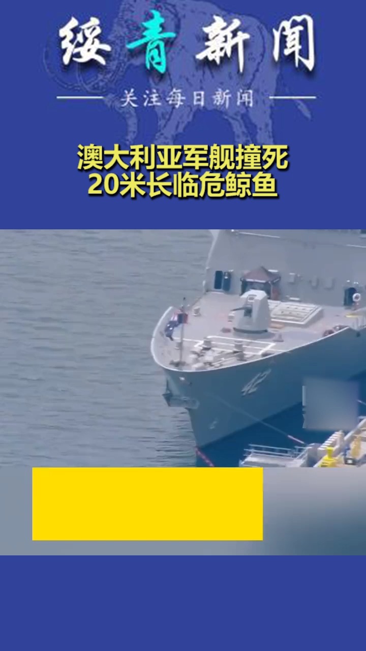 澳大利亚军舰撞死20米长临危鲸鱼