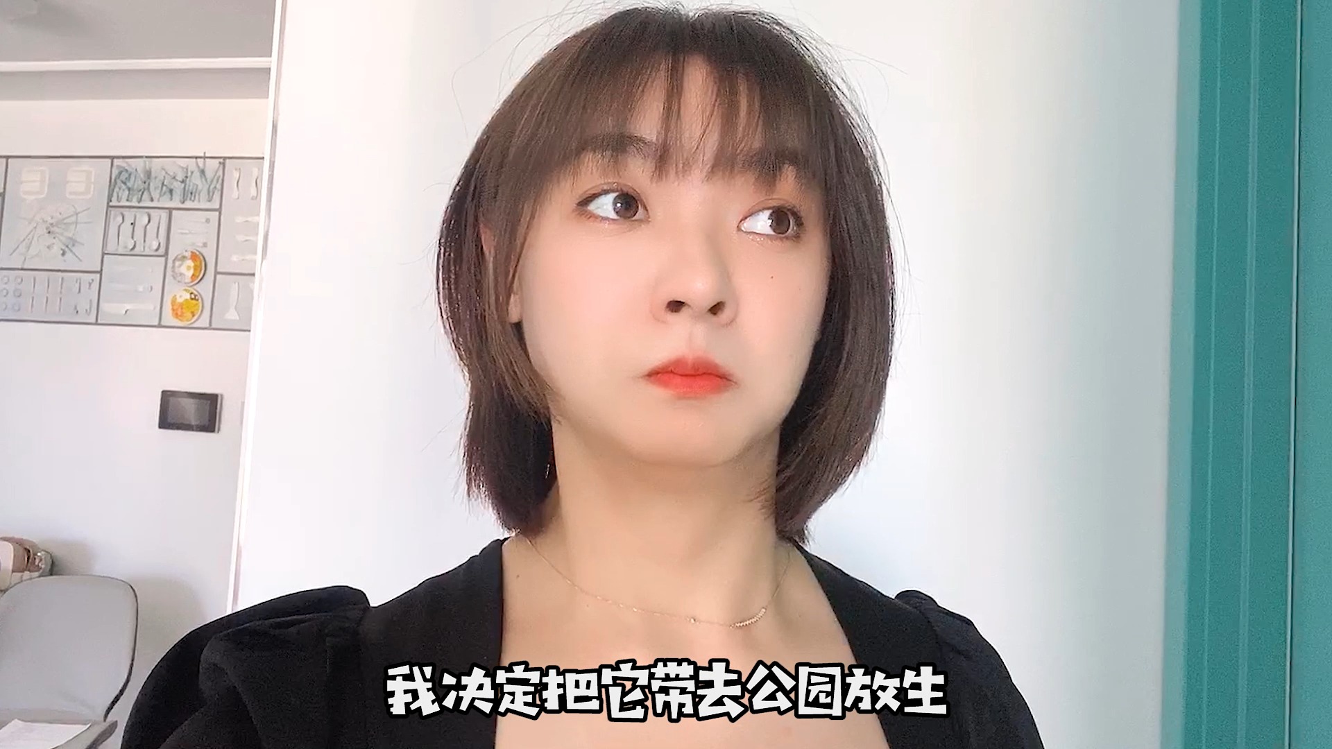 不要试图把大鹅抱回家