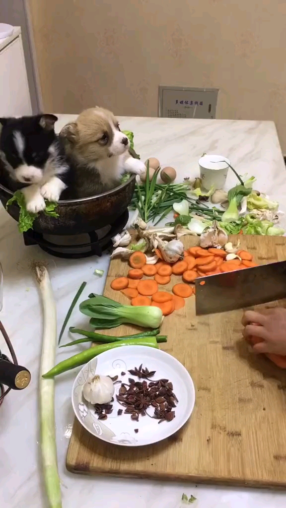 狗肉汤的做法