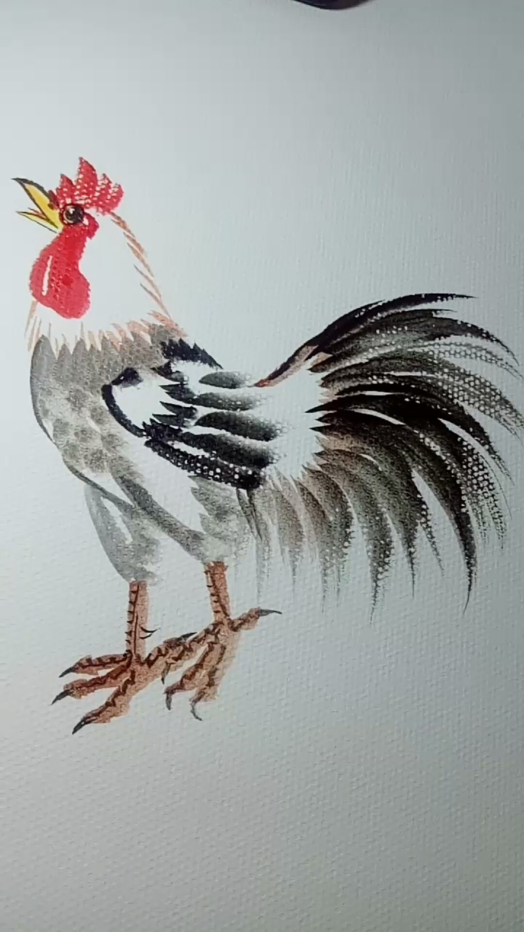 #这是高手#公鸡画法教学过程,非常好画,一学就会