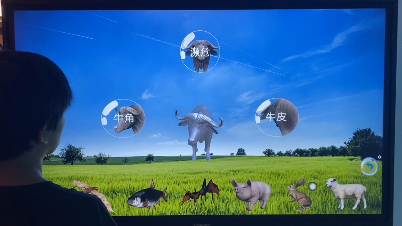 包括蛇、绵羊、兔子、猪、蚂蚁、鱼、蝙蝠、牛等动物。介绍每一个动物的基本信息
