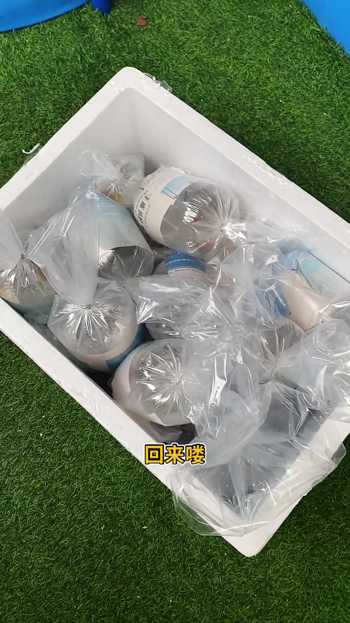 又是一堆好玩的小品种