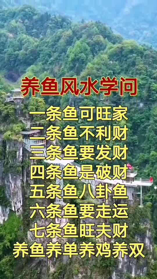 无问题(356)