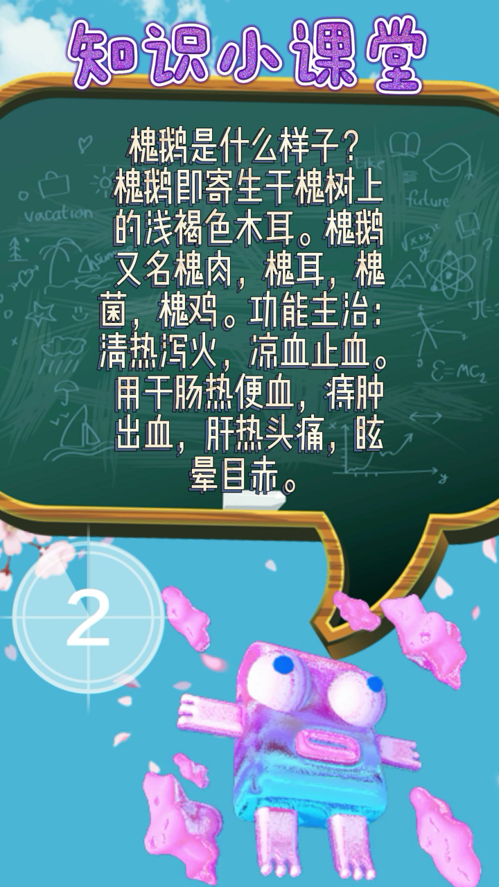 槐鹅是什么样子?