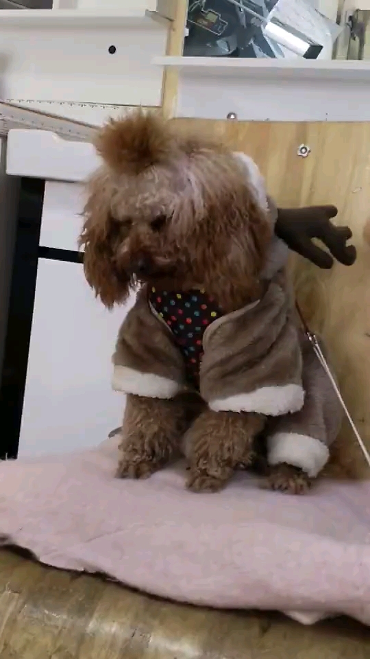 快点,拿根牙签来把眼皮撑到点()